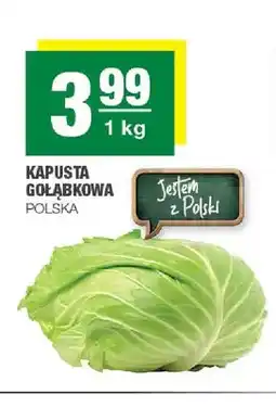 Spar Kapusta gołąbkowa polska oferta