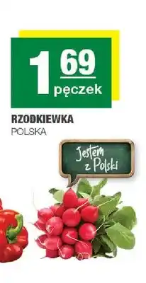 Spar Rzodkiewka polska oferta