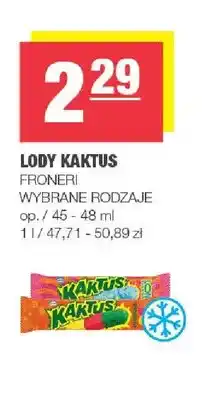 Spar Lody Kaktus oferta