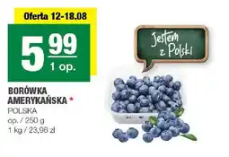 Spar Borówka amerykańska polska oferta