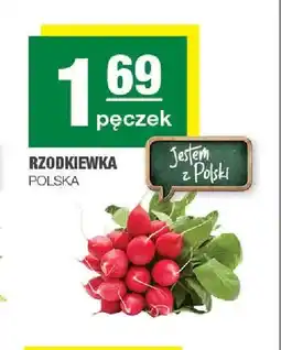 Spar Rzodkiewka oferta