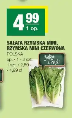 Spar Sałata rzymska mini oferta