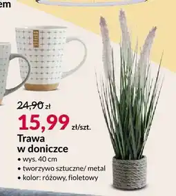 Agata Meble Trawa w doniczce oferta