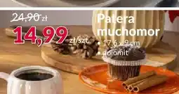 Agata Meble Patera muchomor oferta