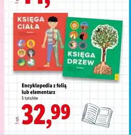 Lidl Książka Elementarz oferta
