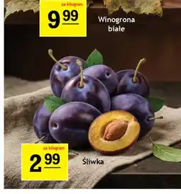 Gram Market Śliwka oferta