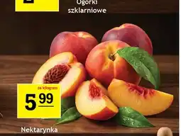 Gram Market Nektarynka oferta
