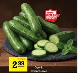 Gram Market Ogórki szklarniowe oferta