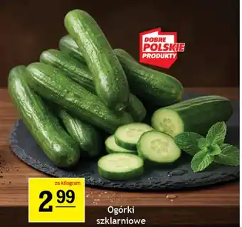 Gram Market Ogórki szklarniowe oferta