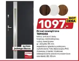 Bricomarche Drzwi zewnętrzne TEMIDAS oferta