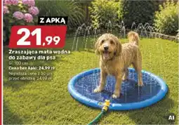 Bricomarche Zraszająca mała wodna do zabawy dla psa oferta