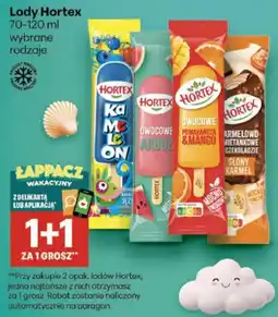 Delikatesy Centrum Lody Hortex oferta