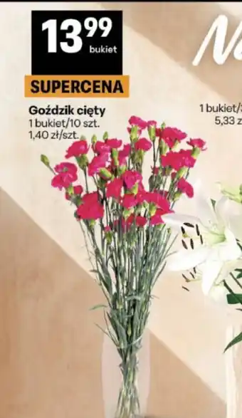 Delikatesy Centrum Goździk cięty oferta