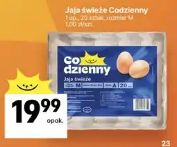 Delikatesy Centrum Jaja świeże Codzienny oferta