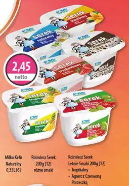 DUO-TES Rolmlecz serek / serek letnie smaki oferta