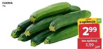 Stokrotka Cukinia oferta
