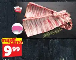 Topaz Golonka wierzchowa oferta