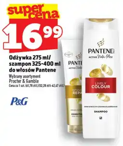 Topaz Odżywka szampon Pantene oferta