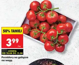 Biedronka Pomidory na gałązce oferta