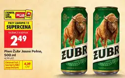 Biedronka Piwo Żubr Jasne Pełne oferta