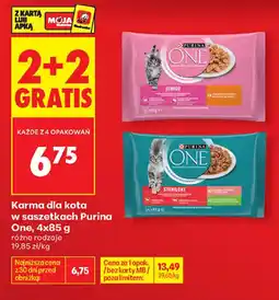 Biedronka Karma dla kota w saszetkach Purina One oferta