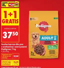 Biedronka Sucha karma dla psa z wołowiną i warzywami Pedigree oferta