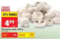 Biedronka Pieczarka oferta