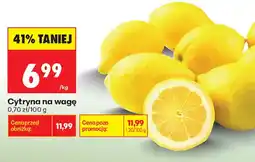 Biedronka Cytryna na wagę oferta
