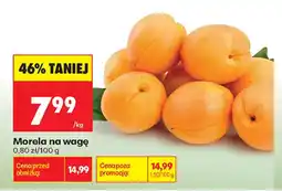 Biedronka Morela na wagę oferta