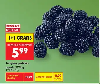Biedronka Jeżyna polska oferta