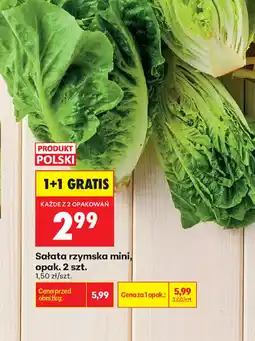 Biedronka Sałata rzymska mini oferta