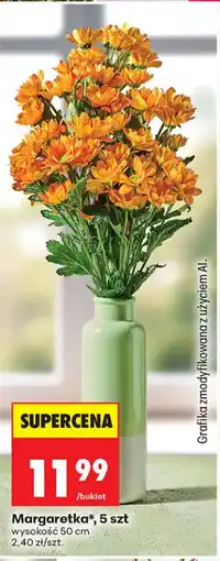 Biedronka Margaretka* oferta