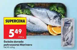 Biedronka Świeża dorada patroszona Marinero oferta