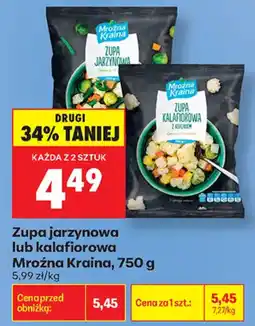 Biedronka Zupa jarzynowa lub kalafiorowa Mroźna Kraina oferta