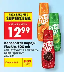 Biedronka Koncentrat napoju Fizz Up oferta