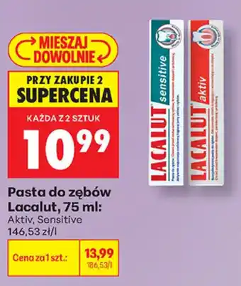 Biedronka Pasta do zębów Lacalut oferta