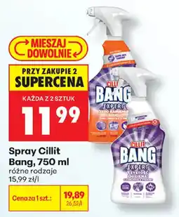 Biedronka Spray Cillit Bang oferta