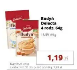 Torimpex Budyń Delecta oferta
