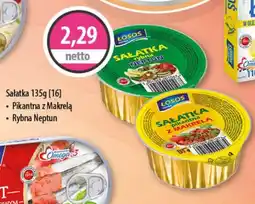 DUO-TES Sałatka oferta