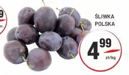 Sedal Śliwka Polska oferta