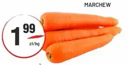 Sedal Marchew oferta
