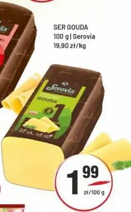 Sedal Ser Gouda Serovia oferta