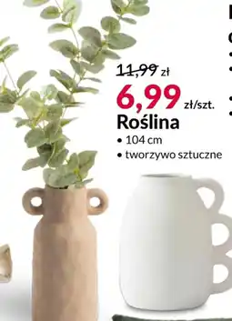 Agata Meble Roślina oferta