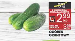 Wafelek Ogórek Gruntowy oferta