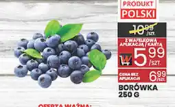Wafelek Borówka oferta