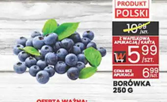 Wafelek Borówka oferta