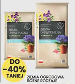 Wafelek Ziemia Universalna z Nasionami oferta