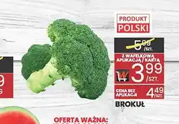Wafelek Brokuł oferta