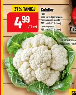 Polomarket Kalafior oferta