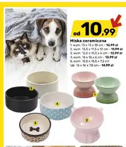 Bricomarche Miska ceramiczna dla zwierząt 13x13x10 cm oferta